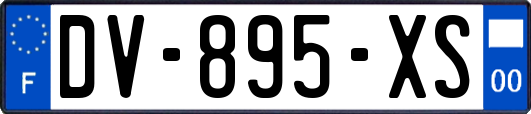 DV-895-XS