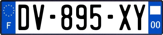 DV-895-XY