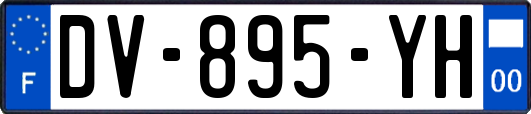 DV-895-YH