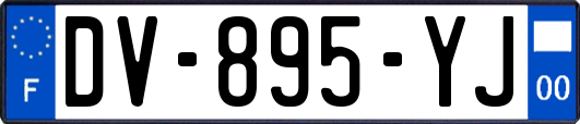 DV-895-YJ