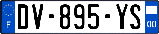 DV-895-YS