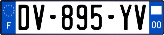 DV-895-YV