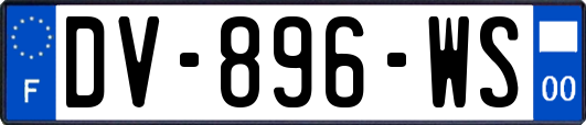 DV-896-WS
