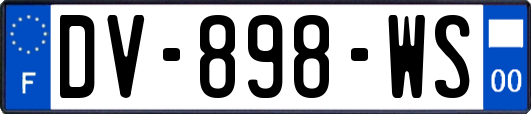 DV-898-WS