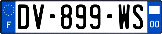 DV-899-WS