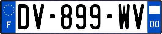 DV-899-WV