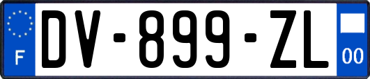 DV-899-ZL