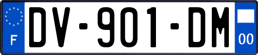 DV-901-DM