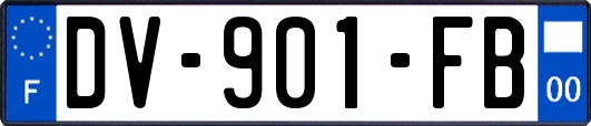 DV-901-FB