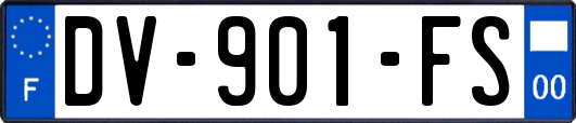 DV-901-FS