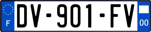 DV-901-FV