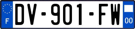 DV-901-FW