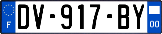 DV-917-BY