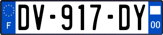 DV-917-DY