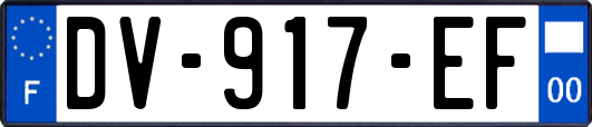 DV-917-EF