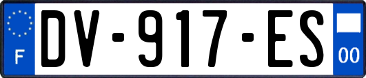 DV-917-ES