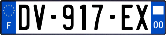 DV-917-EX