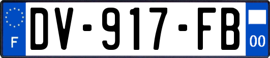 DV-917-FB