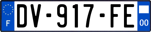 DV-917-FE