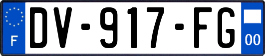 DV-917-FG