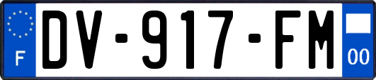 DV-917-FM