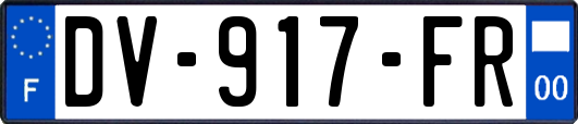 DV-917-FR