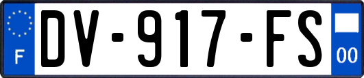 DV-917-FS