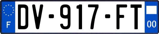 DV-917-FT