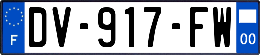 DV-917-FW