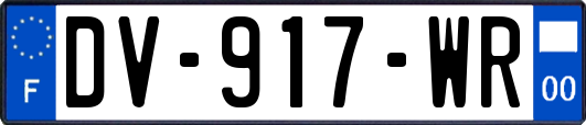 DV-917-WR