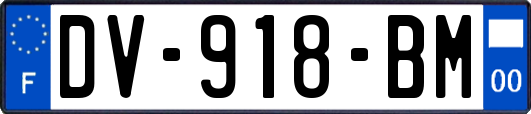 DV-918-BM