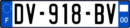 DV-918-BV