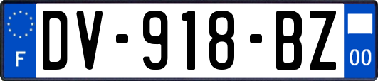 DV-918-BZ