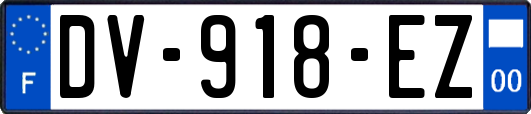 DV-918-EZ