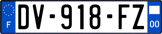 DV-918-FZ