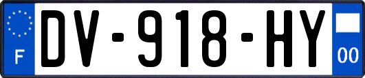 DV-918-HY