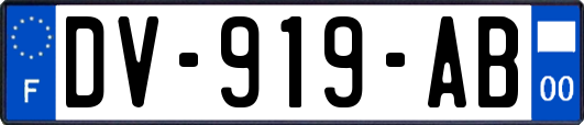 DV-919-AB