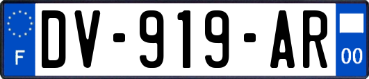 DV-919-AR