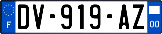 DV-919-AZ