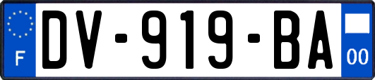 DV-919-BA