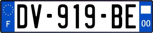 DV-919-BE