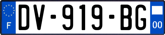 DV-919-BG