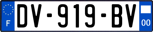 DV-919-BV