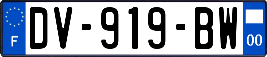 DV-919-BW