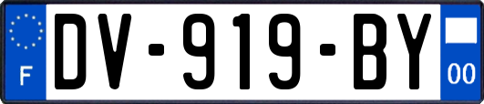 DV-919-BY