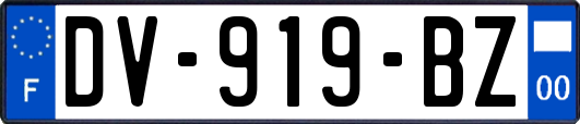 DV-919-BZ