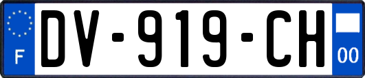 DV-919-CH