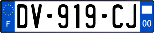 DV-919-CJ