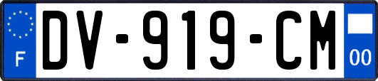 DV-919-CM