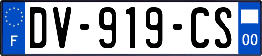 DV-919-CS